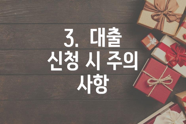 3.  대출 신청 시 주의 사항