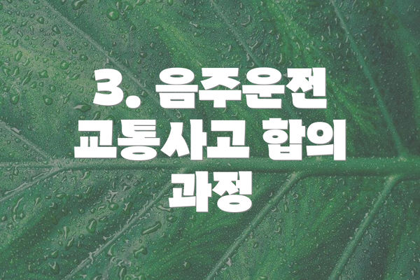 3. 음주운전 교통사고 합의 과정