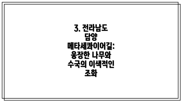 3. 전라남도 담양 메타세콰이어길: 웅장한 나무와 수국의 이색적인 조화