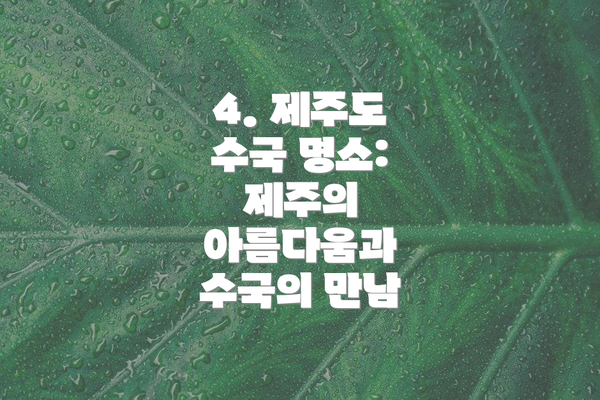 4. 제주도 수국 명소: 제주의 아름다움과 수국의 만남