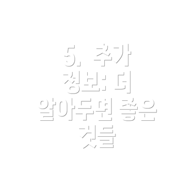 5.  추가 정보: 더 알아두면 좋은 것들