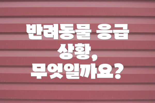 반려동물 응급 상황, 무엇일까요?