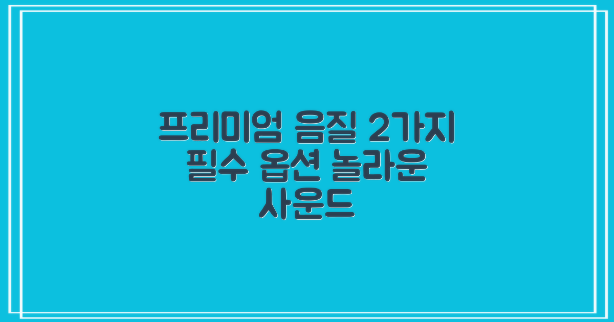 2가지 프리미엄 음질