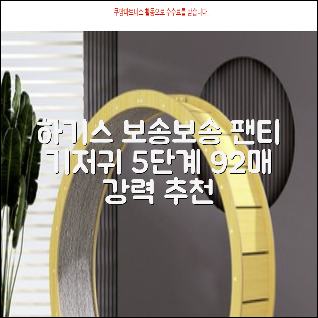 하기스 NEW 보송보송 팬티형 기저귀 공용, 5단계, 92매 추천 리뷰